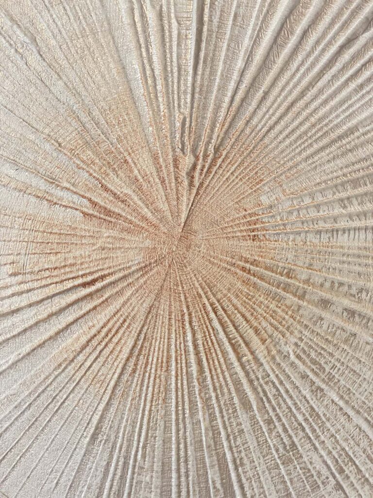 Finding Eachother Four original fine art painting tree rings with frame beige rust orange