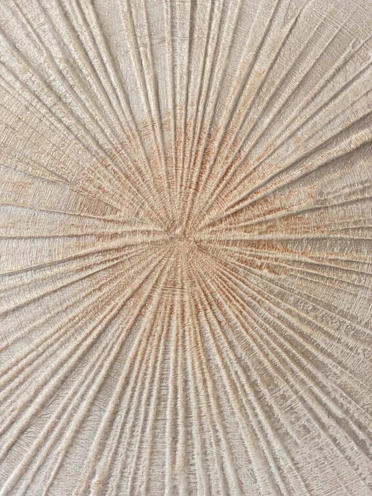 Finding Eachother Six original fine art painting tree rings with frame beige rust orange