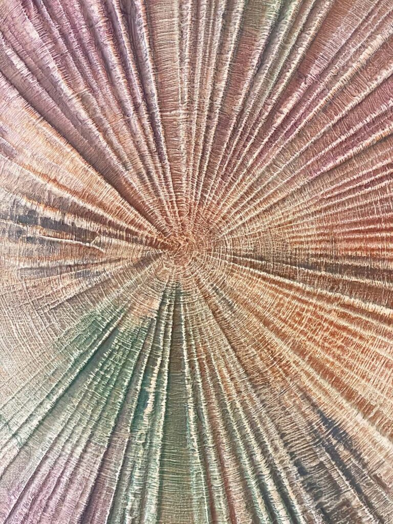 Finding Eachother Two original fine art painting tree rings with frame beige rust purple green navy