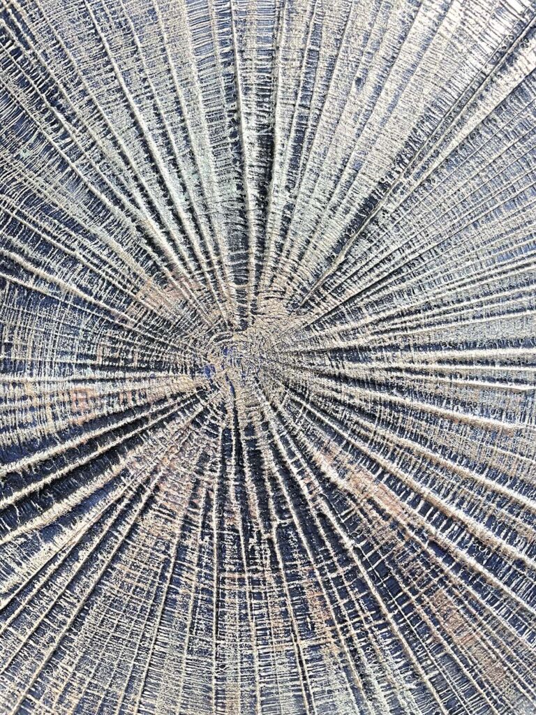 Living No. 3 original tree ring plaster painting