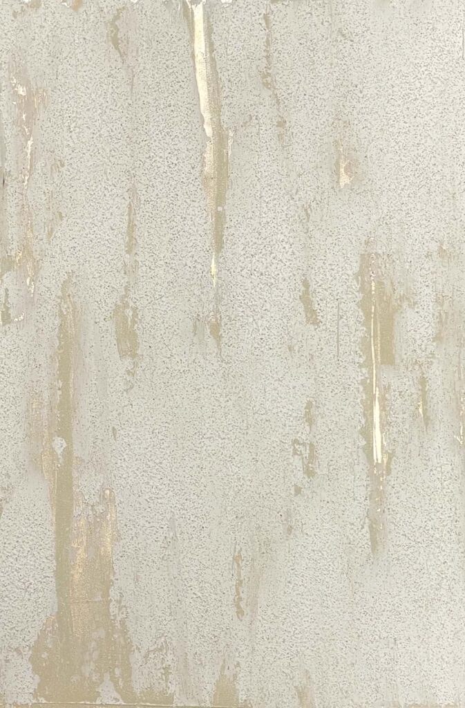 Modern rustic multiplaster faux finish wall texture
