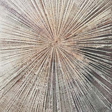 Staying Positive Four modern abstract tree ring matted painting