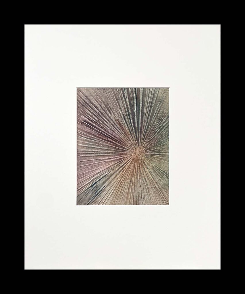 Staying Positive Five modern abstract tree ring matted painting