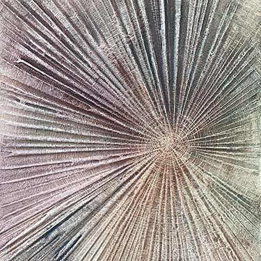 Staying Positive Five modern abstract tree ring matted painting