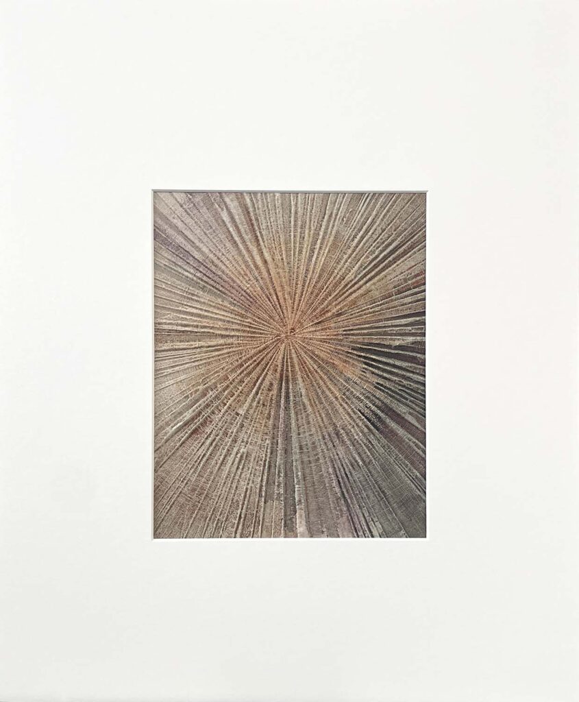 Staying Positive Four modern abstract tree ring matted painting