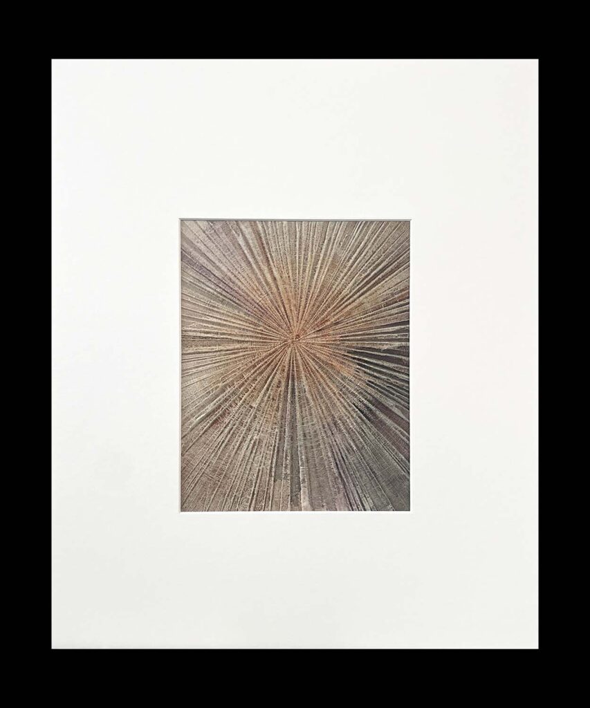 Staying Positive Four modern abstract tree ring matted painting