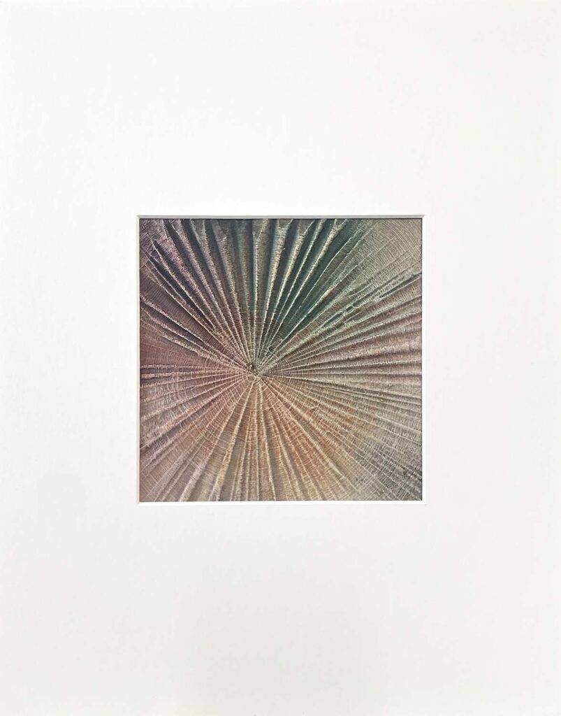 Staying Positive One modern abstract tree ring matted painting