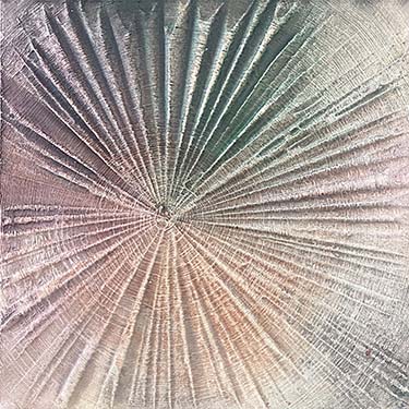 Staying Positive One modern abstract tree ring matted painting