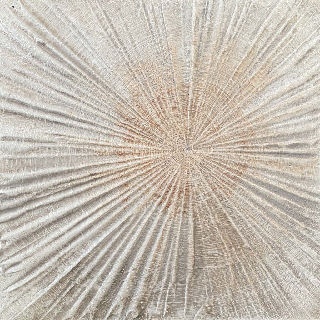 Staying Positive Three modern abstract tree ring matted painting