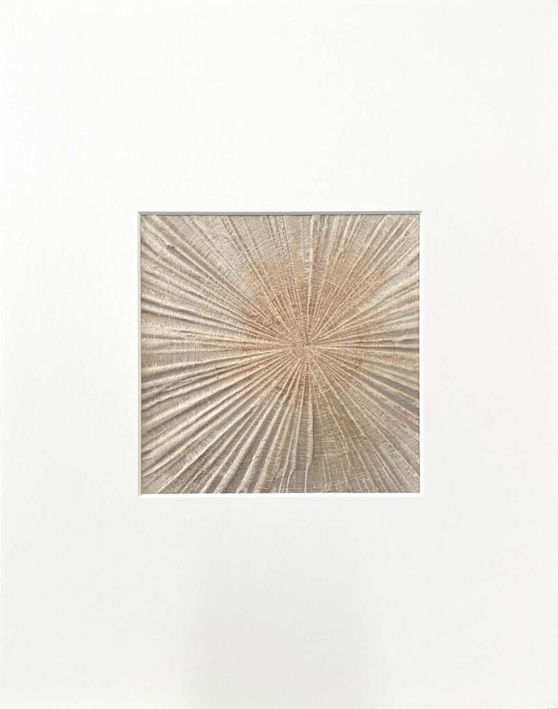 Staying Positive Three modern abstract tree ring matted painting