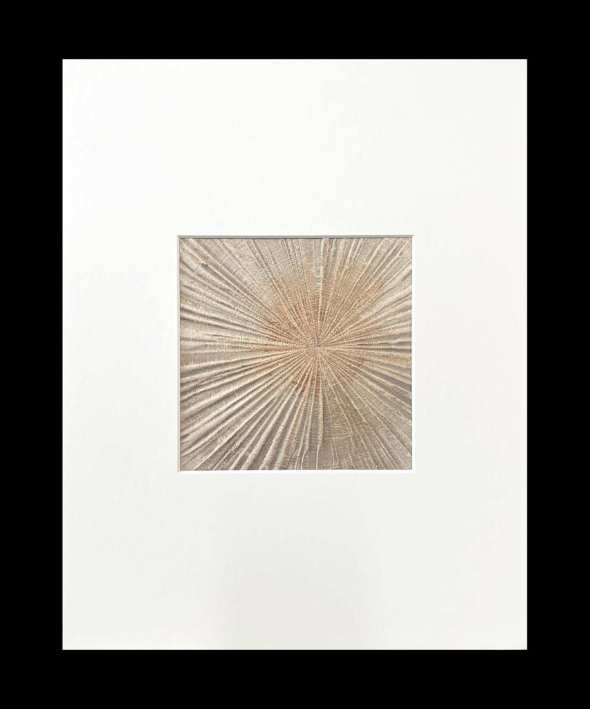 Staying Positive Three modern abstract tree ring matted painting