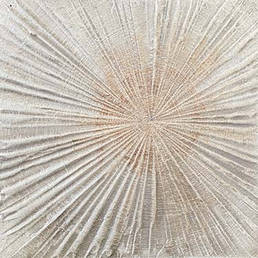 Staying Positive Three modern abstract tree ring matted painting