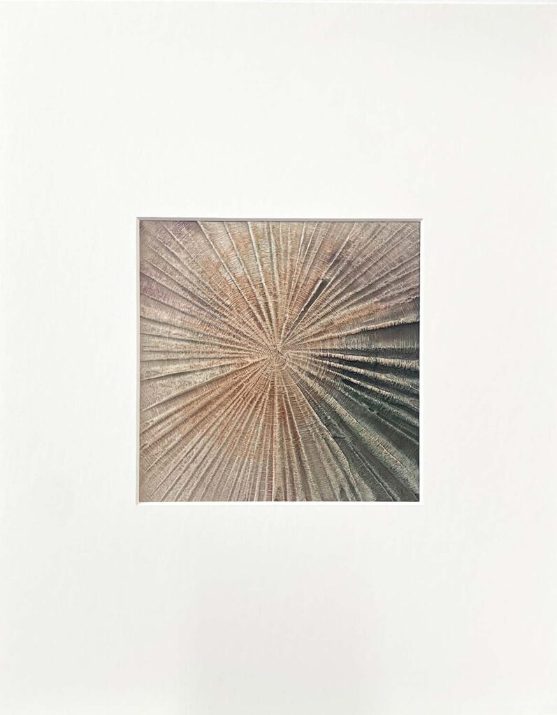 Staying Positive Two modern abstract tree ring matted painting