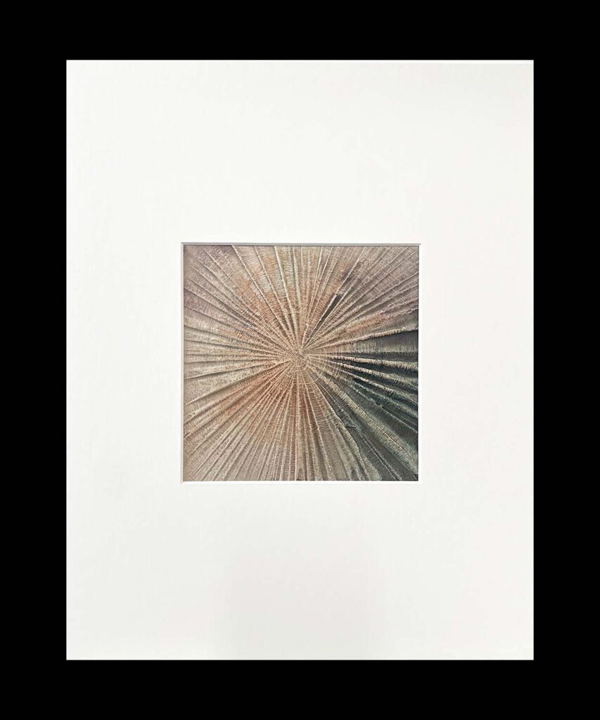 Staying Positive Two modern abstract tree ring matted painting