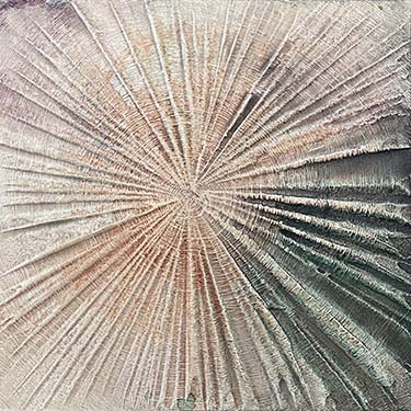 Staying Positive Two modern abstract tree ring matted painting